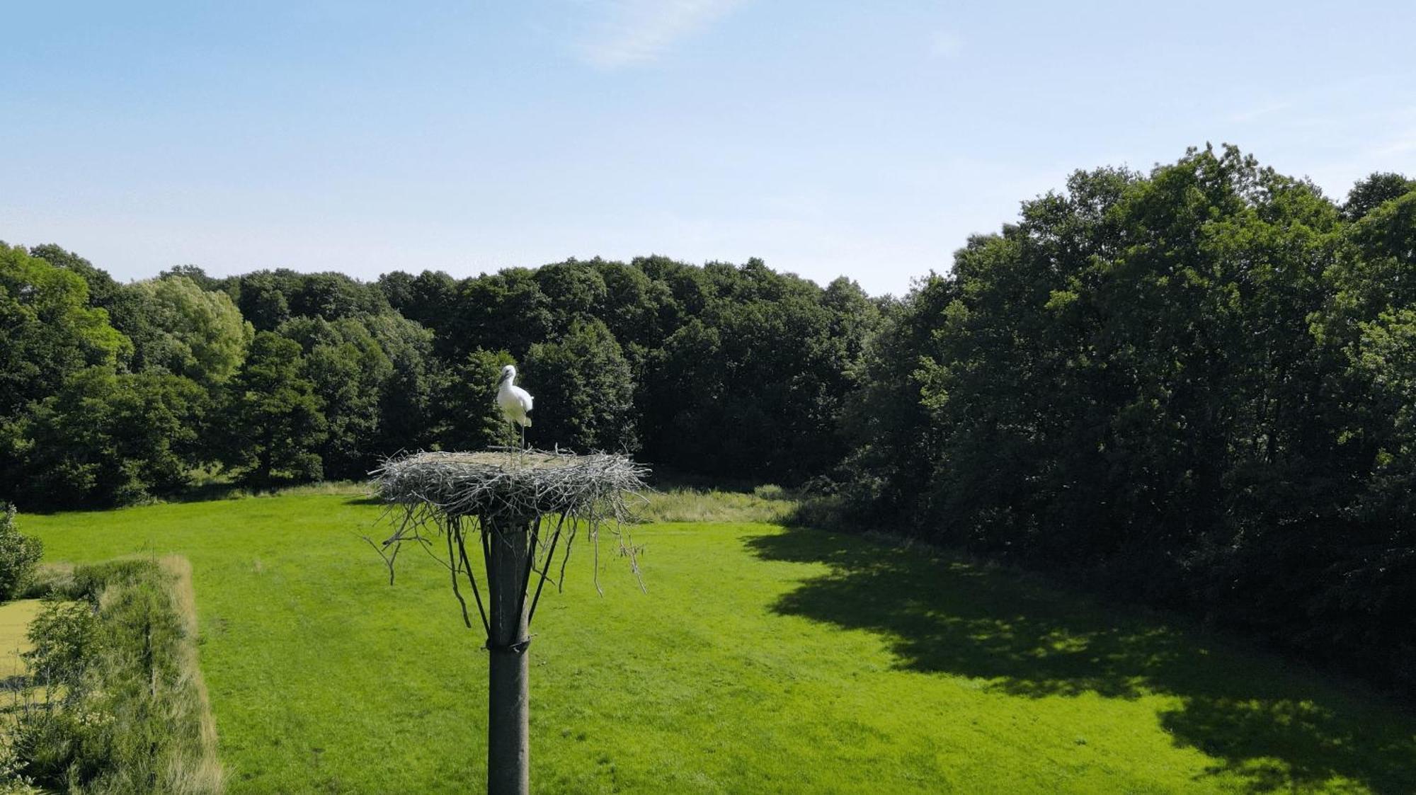 Fuchsbau Campingplatz *